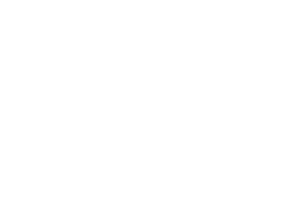 DGT%20Consulting